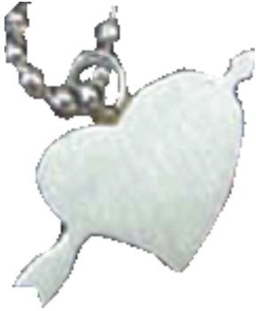 Pendant Steinless Steel