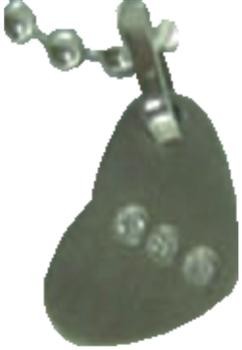 Pendant Steinless Steel