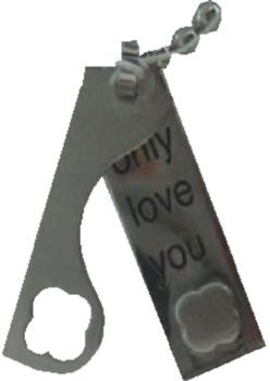 Pendant Steinless Steel