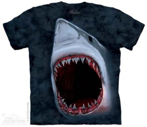 Shark Bite
