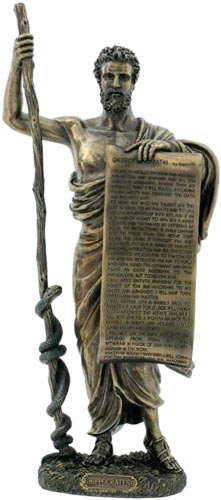 Hippocrates 64cm