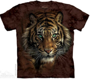 Tiger prowl T-shirt