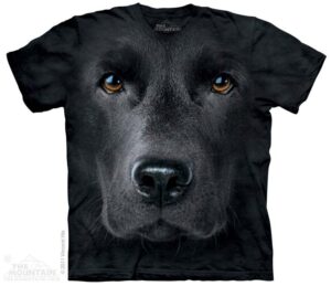 Black Lab Face