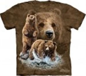 Bears