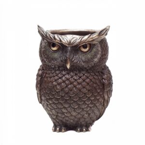 Wise Owl pencilcase  (container)