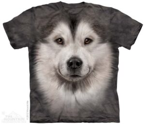 Alaskan Malamute
