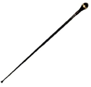 Walking Stick