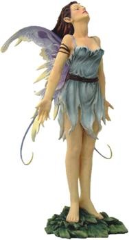 Fairy